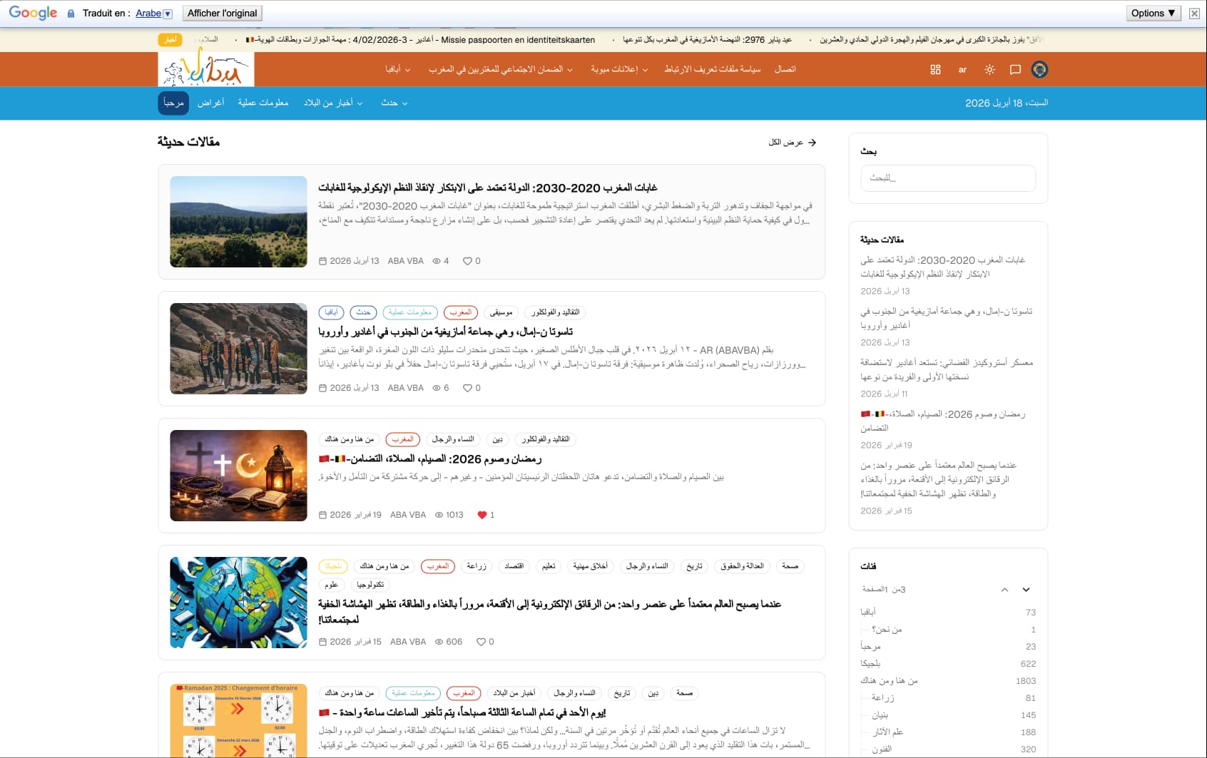 google translate preview