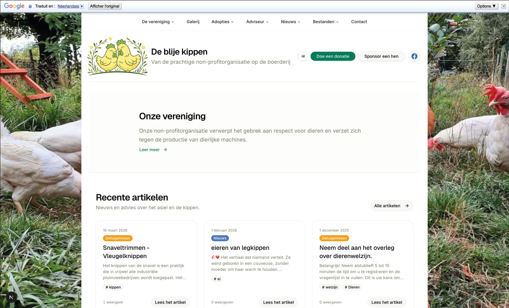 google translate preview 2